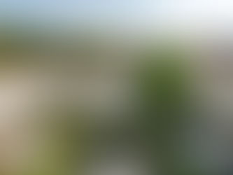 Zelo: A Culinary Experience in the Heart of Milan