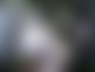 Miami Ecotourism & Eco-Friendly Attractions