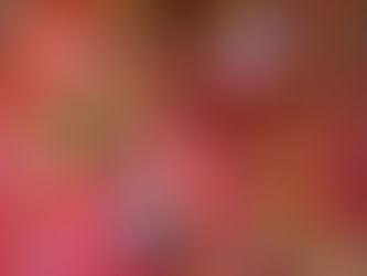 Unveiling “Heart of Community” An Immersive Exhibition by Anabella Bergero at the Faena Art Project