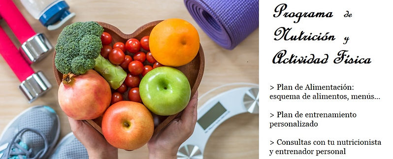 NUTRICIÓN Y ENTRENAMIENTO