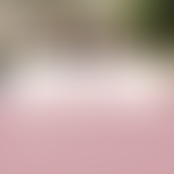 animal enthusiasts activity