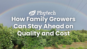 Competing in Tough Markets: How Family Growers Can Stay Ahead on Quality and Cost