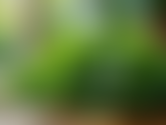 Unveiling the Top Health Benefits of Magnesium