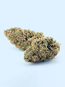 Close up of Apple Fritter