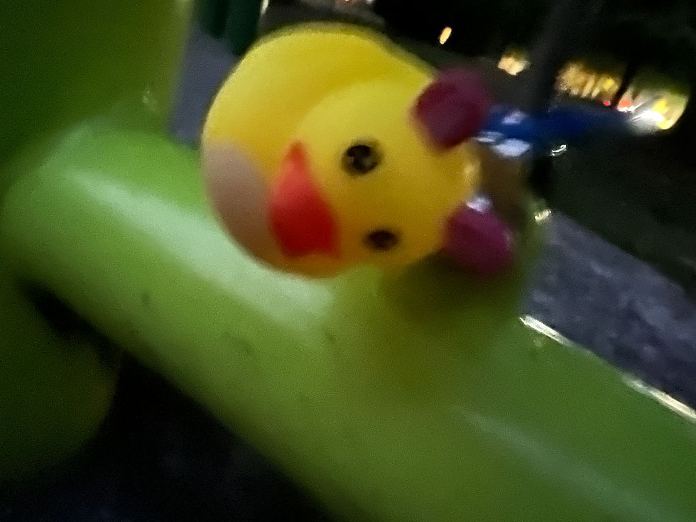 683c9333d019c216e6a9b452-2.jpeg