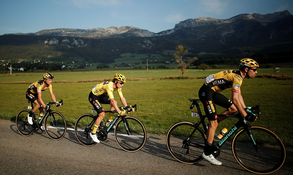 Miniatura: Primož Roglič (1989)