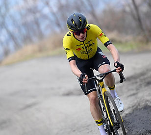 Jonas Vingegaard.jfif