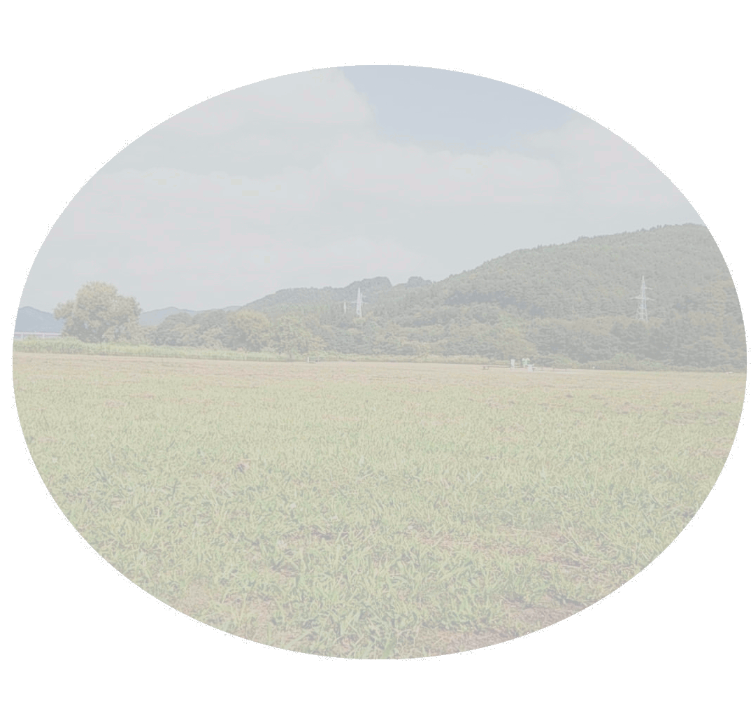 地活_背景バーベキュー.gif