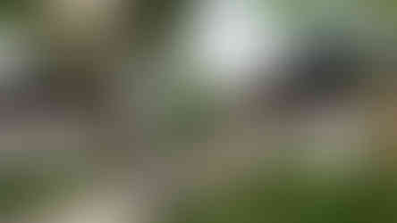 Chiangmai Masterpeace Neuro Hospital โรงพยาบาลฟื้นฟูระบบประสาทแบบครบวงจร