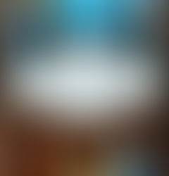 Closeup of the title of the novel The Miniaturist