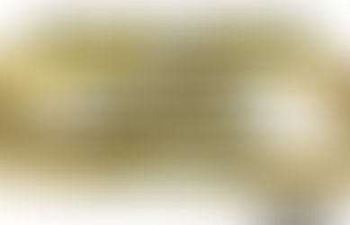 Me preguntar los jóvenes: 13. ¿Por qué los matrimonios tienen muchos problemas y se separan?