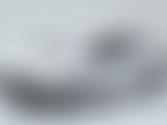 De Karmelietensfeer, aan de hand van een voorbeeld uit het verleden