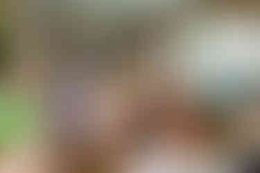 seated audience watching a violinist