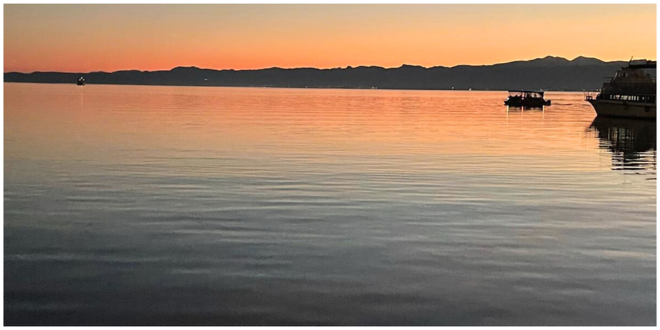 Untitled design (2).png