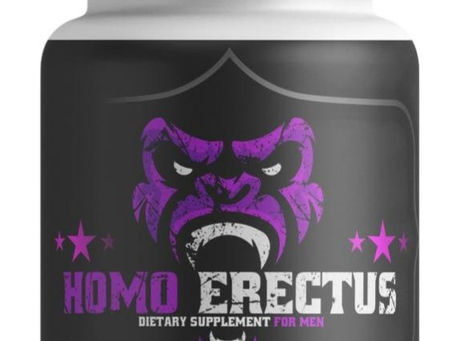 HOMOERECTUS