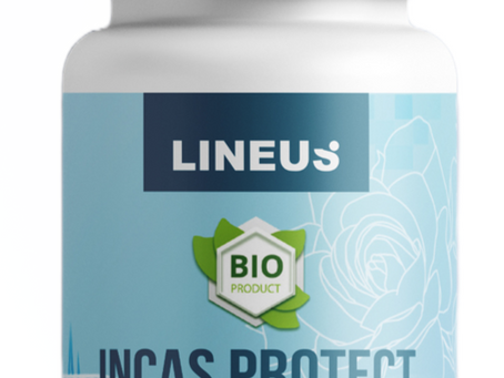 INCAS PROTECT