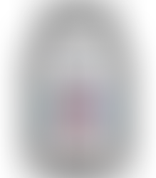 VISION