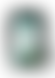 FORTIKUX