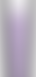 ELASTICA