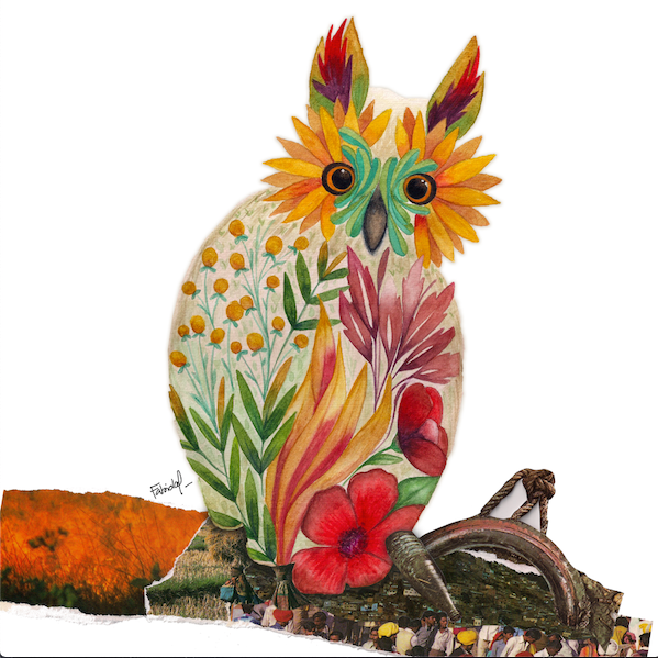 Búho / Fabiola Imelda