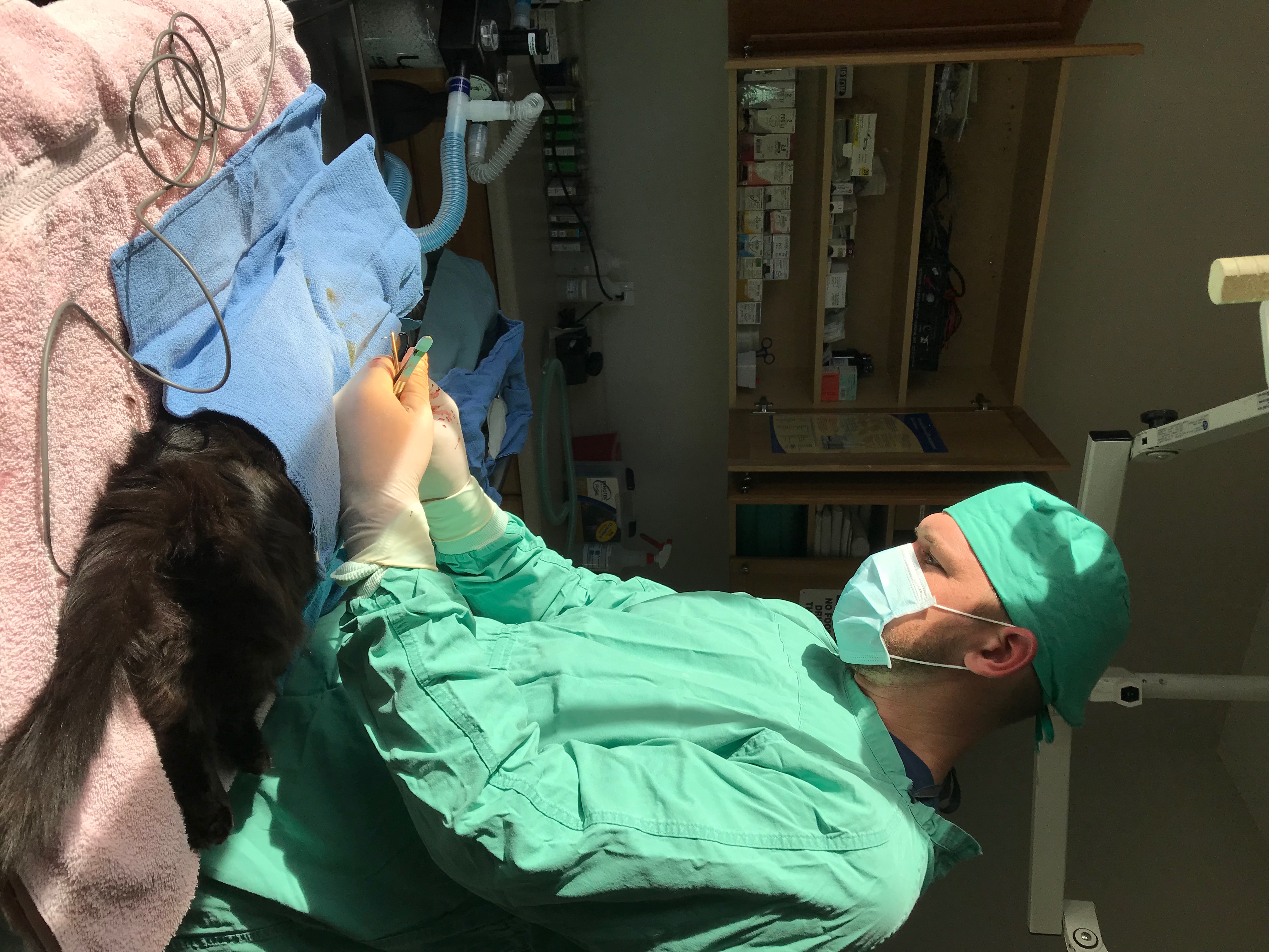 Nathan Butler Butler Veterinary Services United States