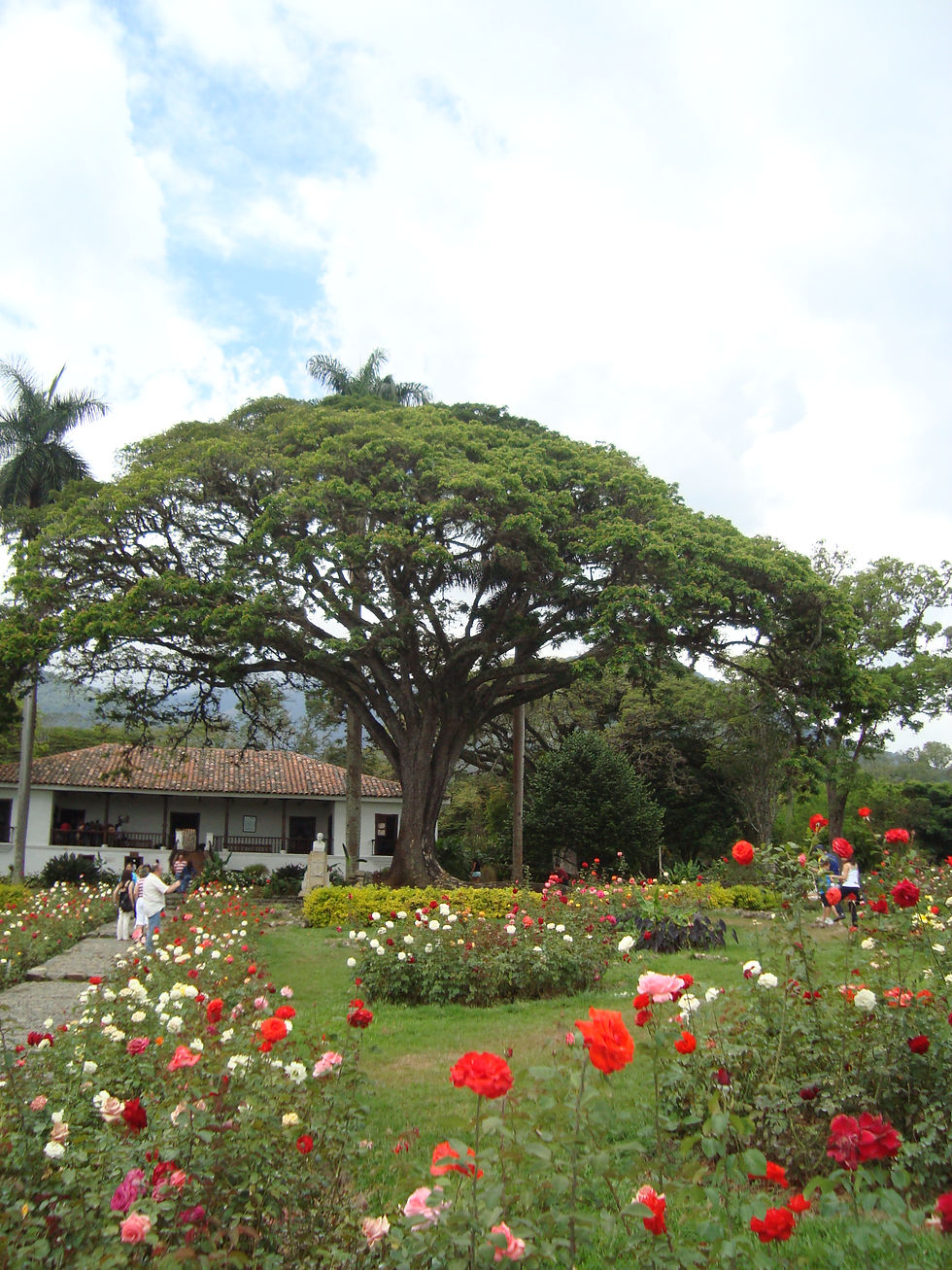 Flickr - Hacienda el Paraiso