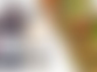 BBQ Jackfruit Lettuce Wraps