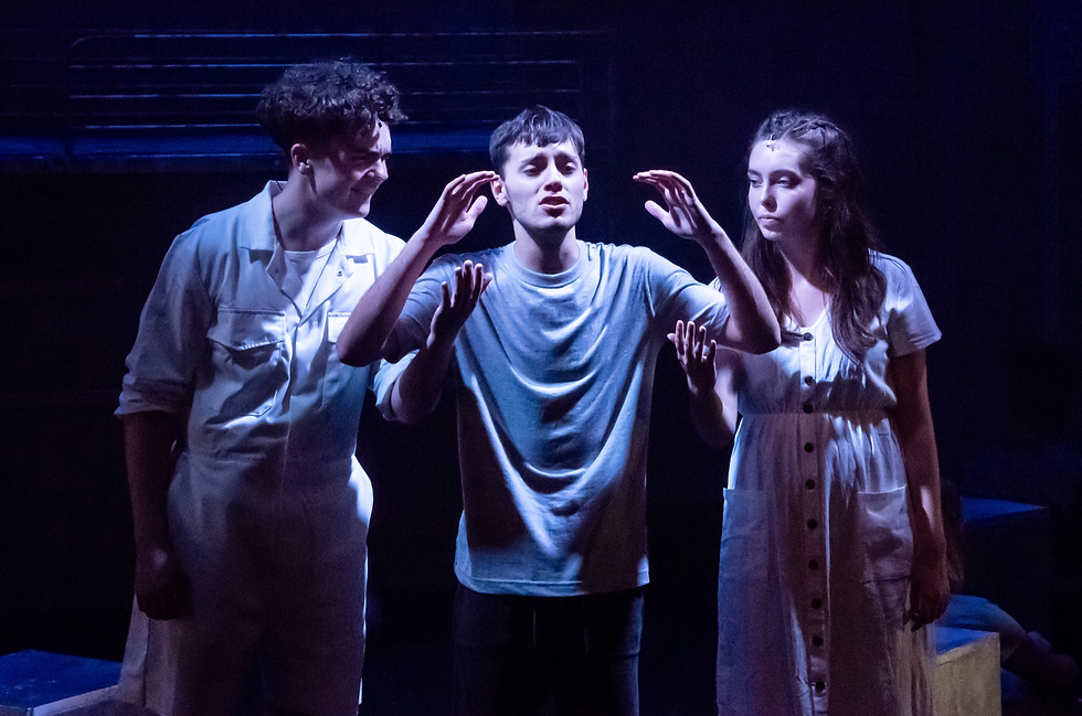 Spring Awakening