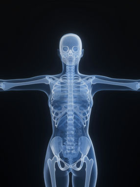 Supporting the Lymphatic System: What the Body Needs, Not What Trends Promise