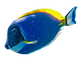 IMG_5337.PNG