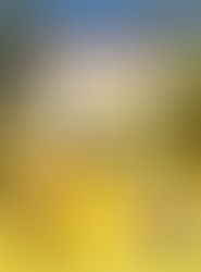 Full Telecharge License 32bit Pro Serial Download