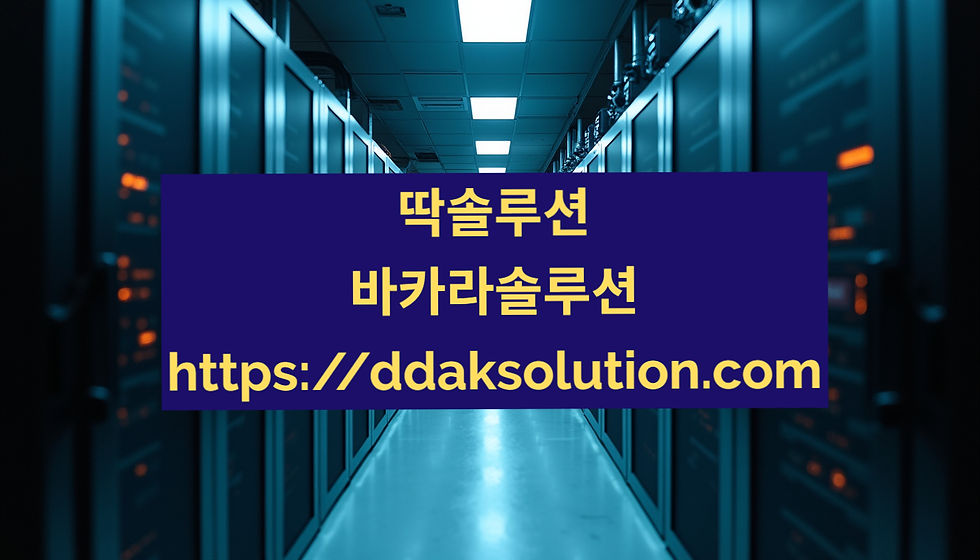 바카라솔루션