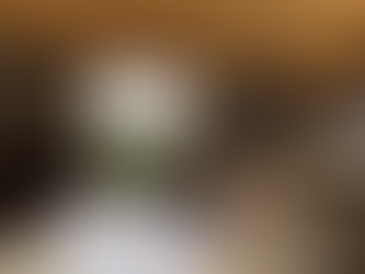 Futter spielerisch erarbeiten 