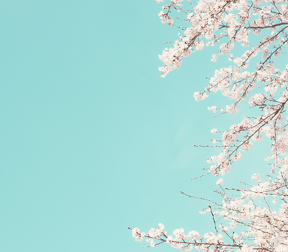 08_edited.png
