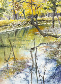 村井美智代　「紅葉の水映」20号