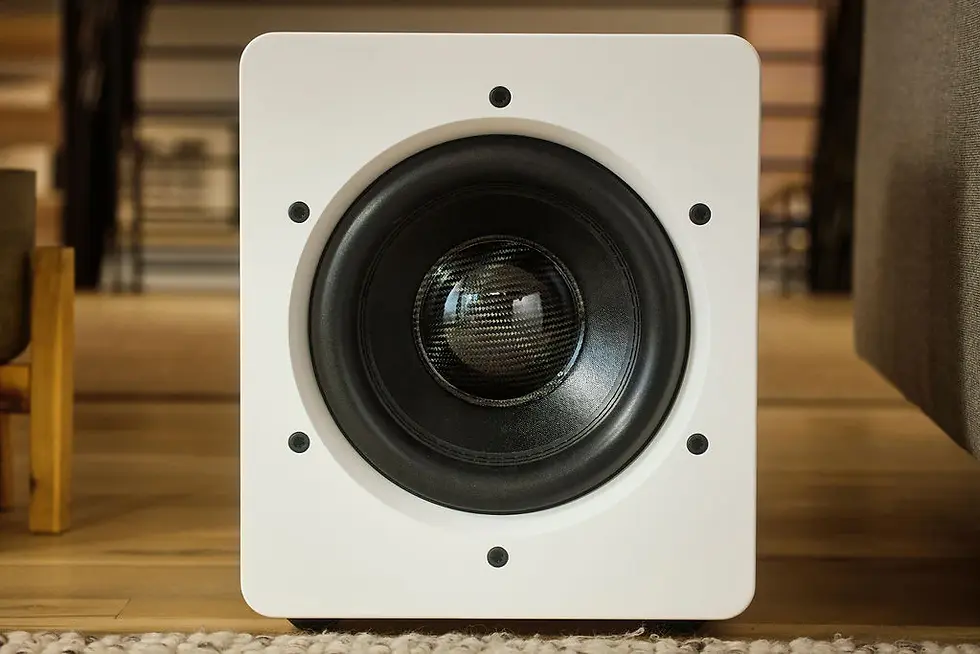 PS Audio F12 Subwoofer