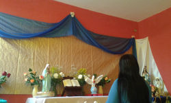 7º Tenda do Espírito Santo 2014