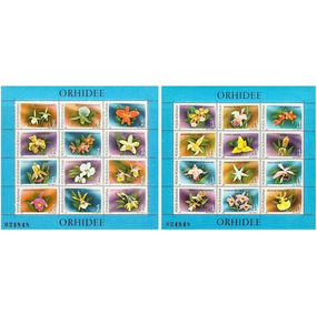 Orhidee - blocuri