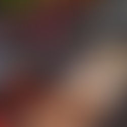 vetbedden voor honden