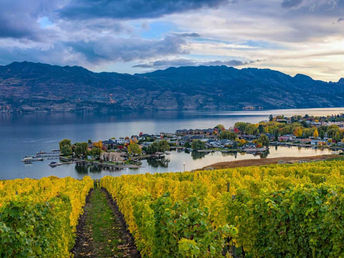 Fun Adventures to Do as a Group in Kelowna
