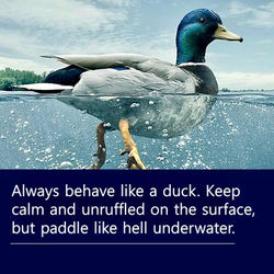 Behave Like a Duck