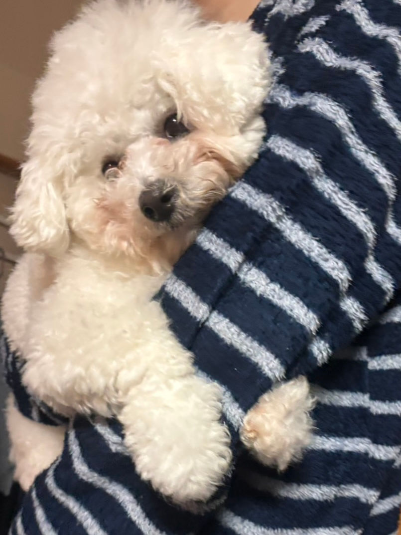 寒さに耐えてます。。