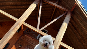 キャンプの前にコテージへ！