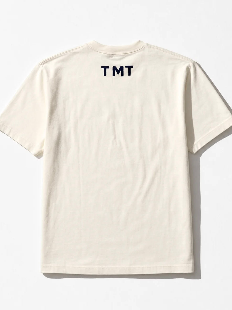 サムネイル： TMT