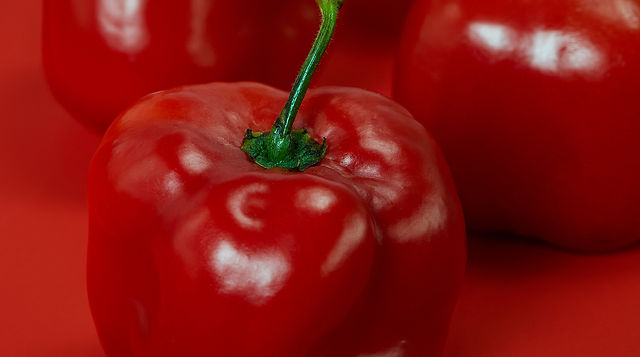 rocoto-3.jpg