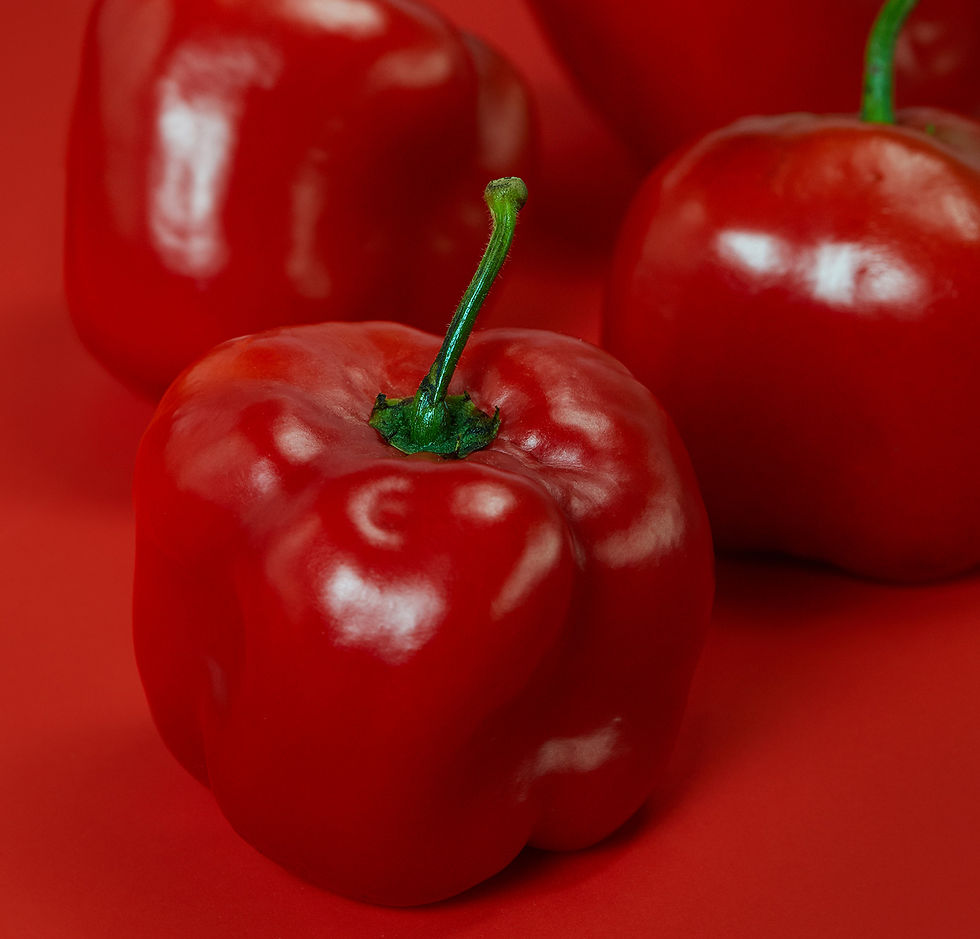 rocoto-3.jpg