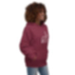 Thumbnail: I Like my Hoodies Plain