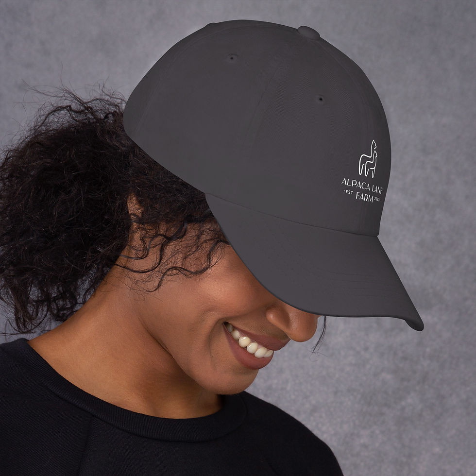 Thumbnail: Alpaca Lane Farm Hat