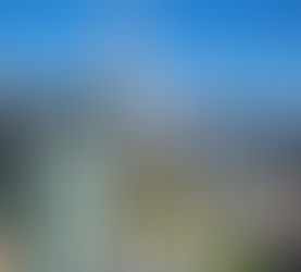 Regenerative Urbanism: the Meaning, Challenge, and Value