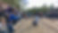 fullsizeoutput_e1e.jpeg